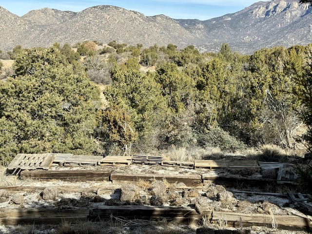 145 Coyote Springs Rd SE, Albuquerque, NM 87123 - photo 30