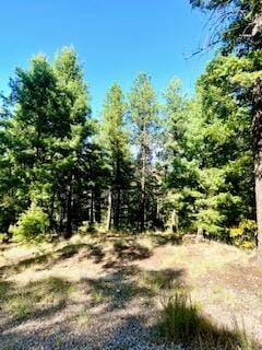 Listing photo 3 for Los Griegos A Rd, Jemez Springs NM 87025