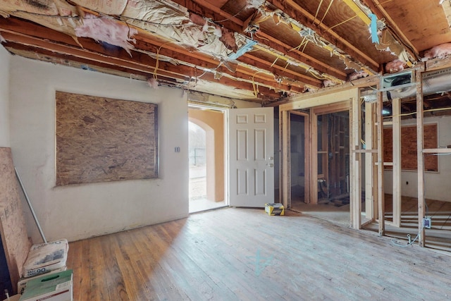 basement featuring hardwood / wood-style flooring