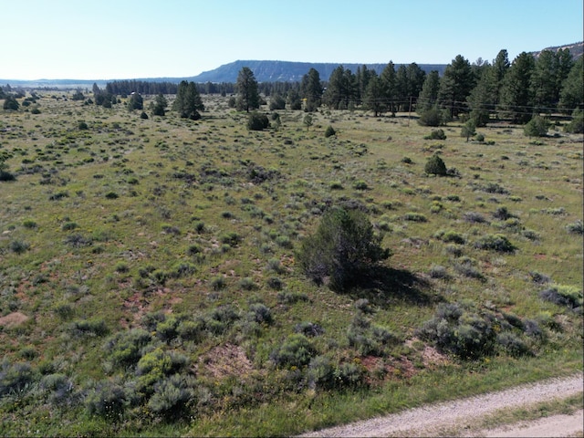 Listing photo 3 for LOT8 E Lobo Dr, Ramah NM 87321