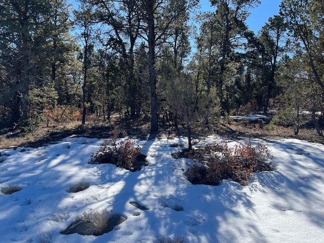 Chico Rd, Edgewood NM, 87015 land for sale