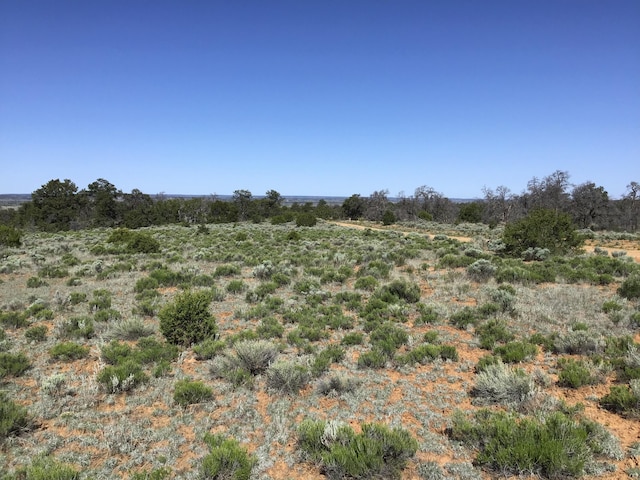 Listing photo 3 for LOT202 Canyon Cv, Ramah NM 87321