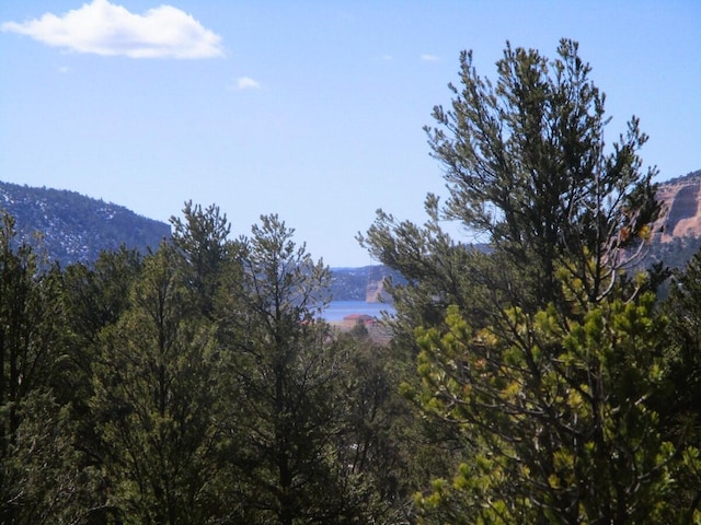 Listing photo 2 for LOT23 Copperweed Rd, Ramah NM 87321