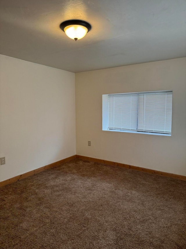 spare room with carpet