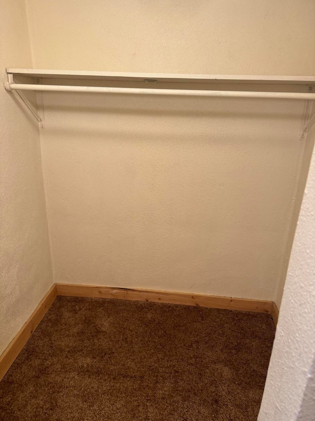 walk in closet with dark colored carpet