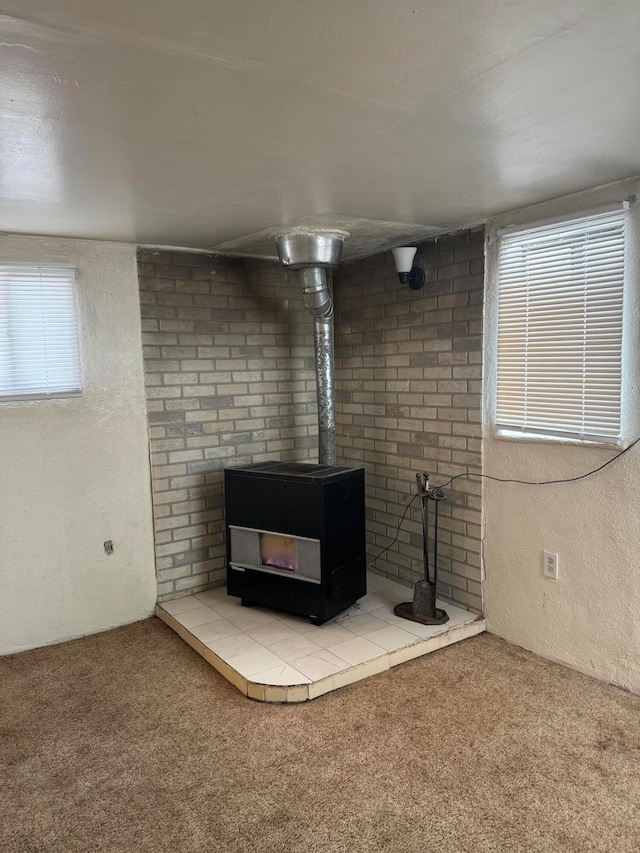 details featuring carpet floors and a wood stove