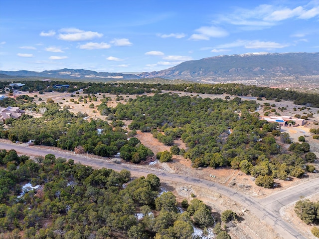 birds eye view of property with a mountain view