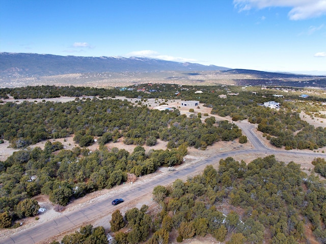 bird's eye view with a mountain view