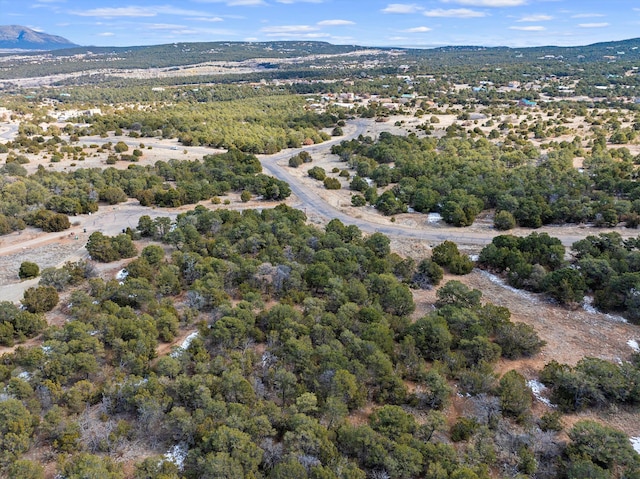 birds eye view of property featuring a mountain view