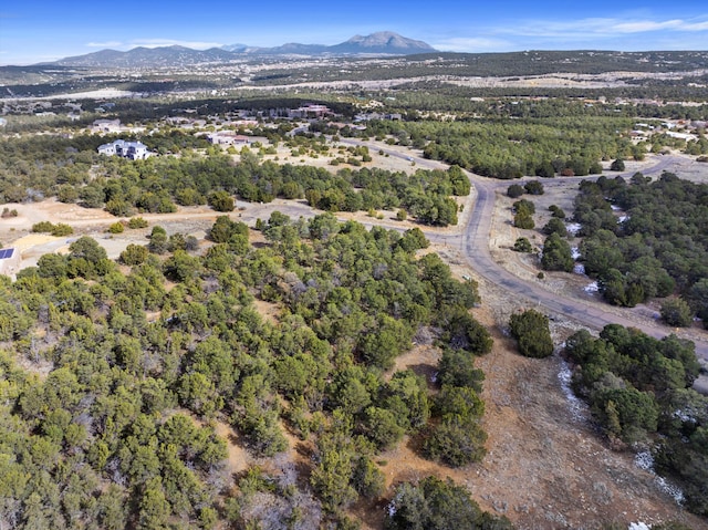 bird's eye view with a mountain view