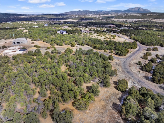 bird's eye view with a mountain view