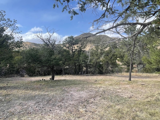 view of yard featuring a mountain view