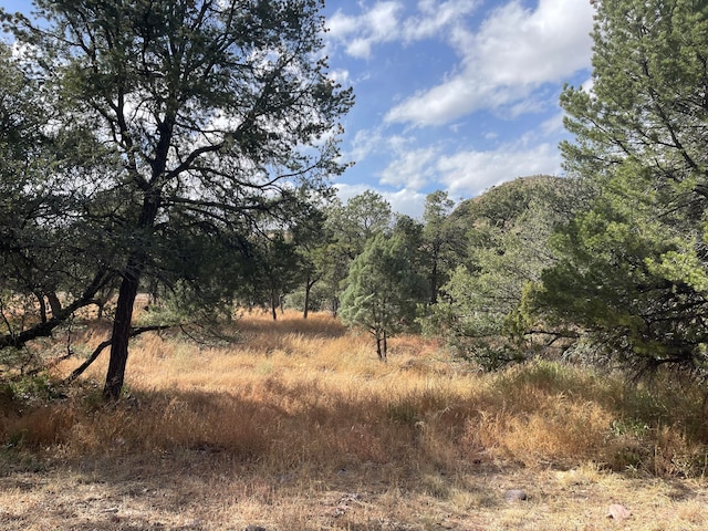 view of local wilderness