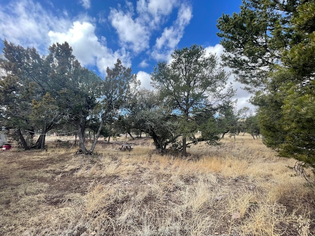 view of local wilderness featuring a rural view