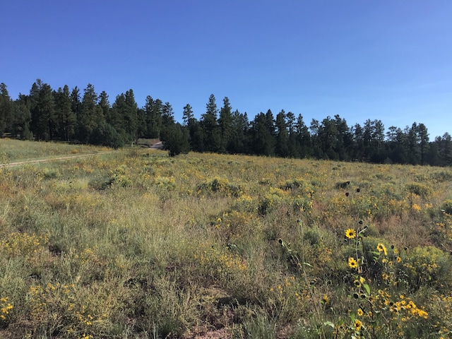 Listing photo 3 for LOT14 E Elk Dr, Ramah NM 87321