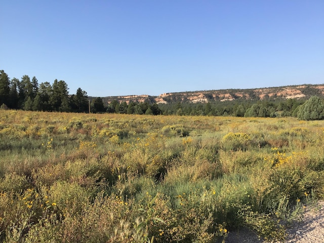 LOT14 E Elk Dr, Ramah, NM 87321