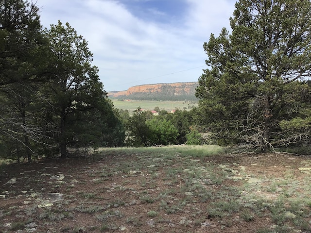 LOT6 Sunflower Dr, Ramah NM, 87321 land for sale