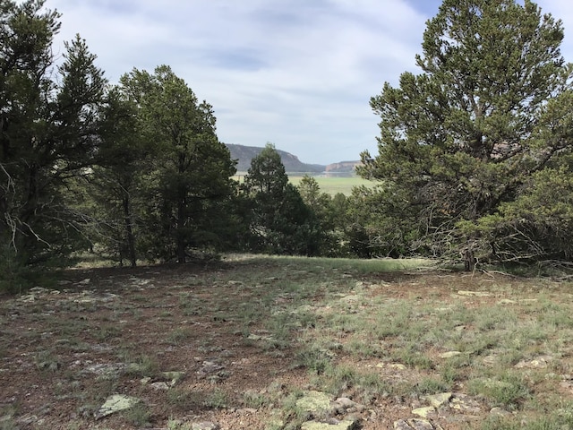 Listing photo 3 for LOT6 Sunflower Dr, Ramah NM 87321