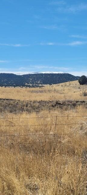 Listing photo 2 for XX Escudilla Dr, Quemado NM 87829