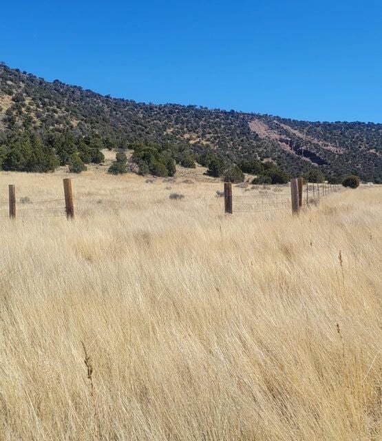 Listing photo 3 for XX Escudilla Dr, Quemado NM 87829