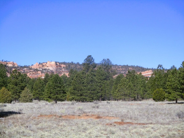 LOT16 Culebra Dr, Ramah, NM 87321