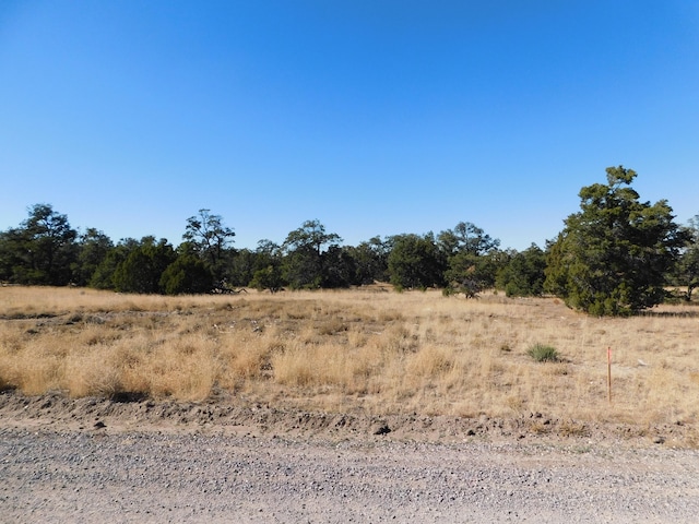 Listing photo 3 for LOT127 Agua Fria Loop, Quemado NM 87829