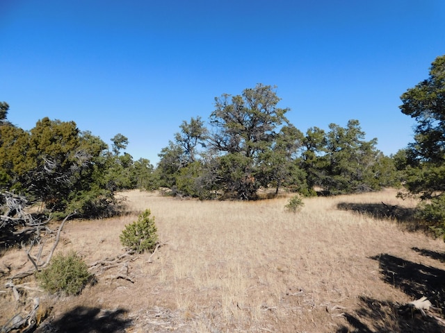 Listing photo 2 for LOT127 Agua Fria Loop, Quemado NM 87829