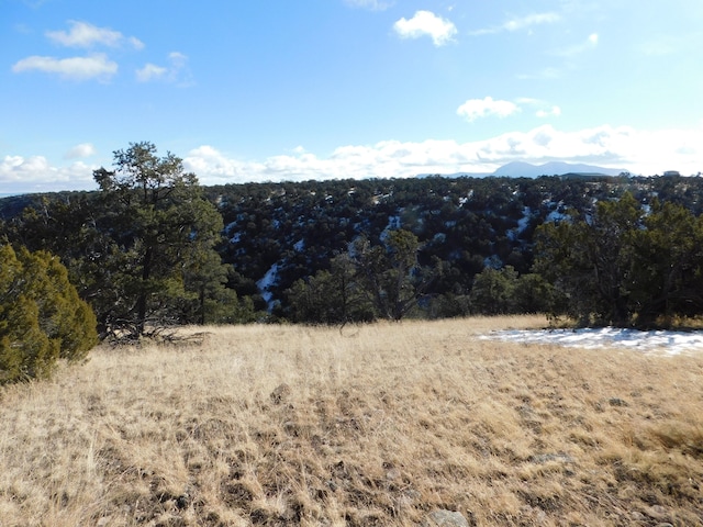 Listing photo 3 for LOT139 Agua Fria Loop, Quemado NM 87829