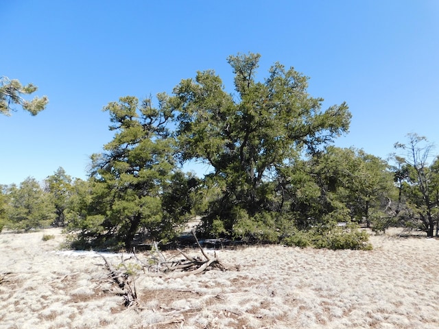 Listing photo 2 for LOT26 Spring Canyon Cir, Quemado NM 87829