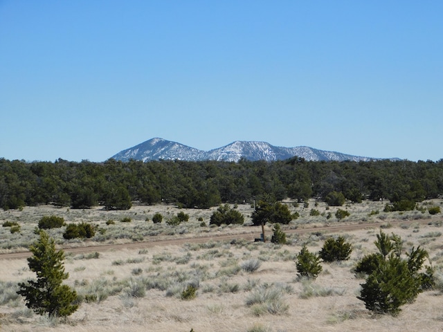 Listing photo 2 for LOT81 Artesian Ave, Quemado NM 87829