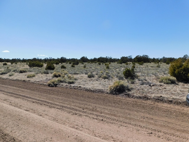 Listing photo 3 for LOT81 Artesian Ave, Quemado NM 87829