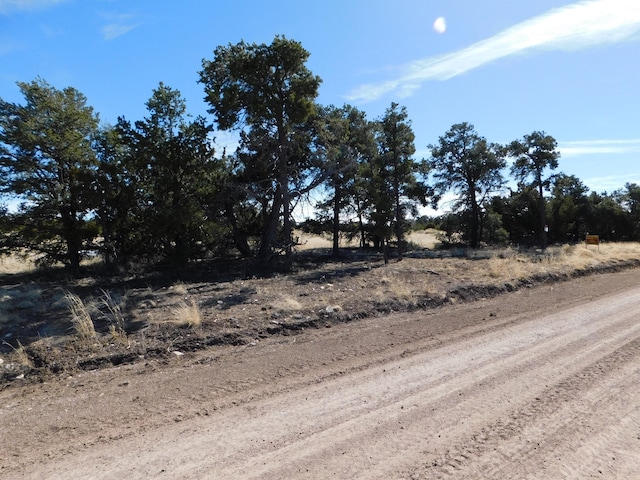 Listing photo 2 for LOT38A Agua Fria Loop, Quemado NM 87829