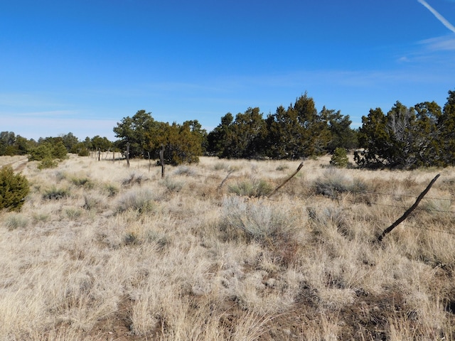 Listing photo 3 for LOT38A Agua Fria Loop, Quemado NM 87829