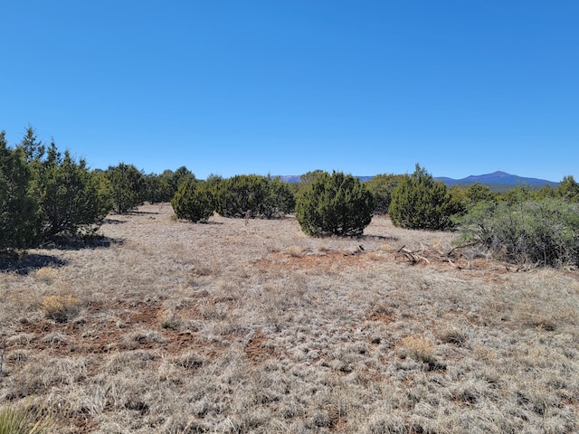 Listing photo 3 for 172 Rosewood Dr, Tajique NM 87016