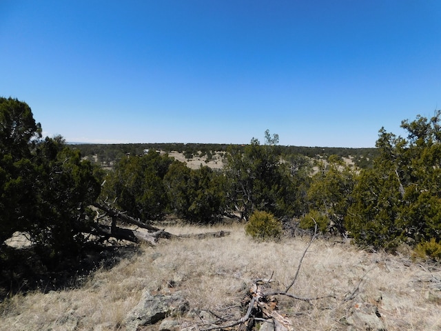 Listing photo 2 for LOT171 Hopi Dr, Quemado NM 87829