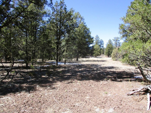 LOT5 Copperweed Rd, Ramah NM, 87321 land for sale