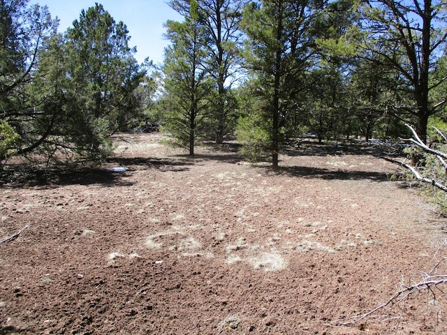 Listing photo 2 for LOT5 Copperweed Rd, Ramah NM 87321