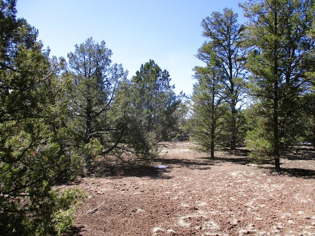 Listing photo 3 for LOT5 Copperweed Rd, Ramah NM 87321