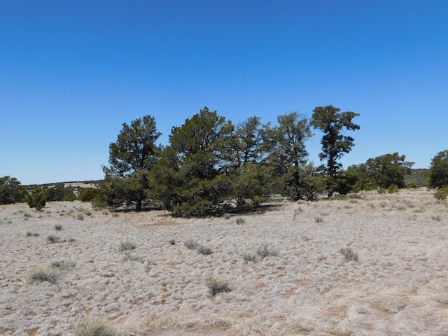 Listing photo 2 for LOT5 Golden Horeshoe Trl, Quemado NM 87829