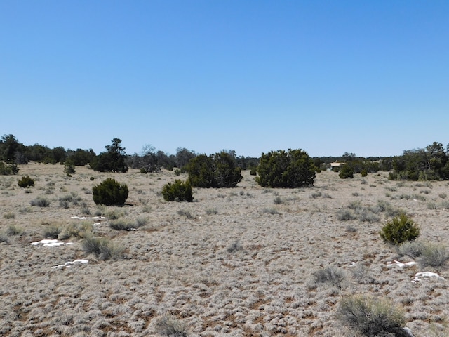 Listing photo 3 for LOT5 Golden Horeshoe Trl, Quemado NM 87829