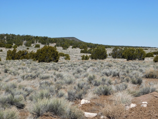 Listing photo 3 for LOT67 Bronco Blvd, Quemado NM 87829