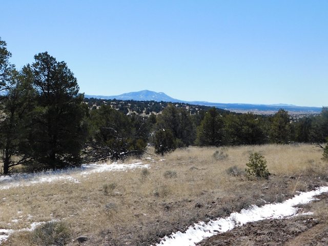 Listing photo 3 for LOT56 Bronco Blvd, Quemado NM 87829