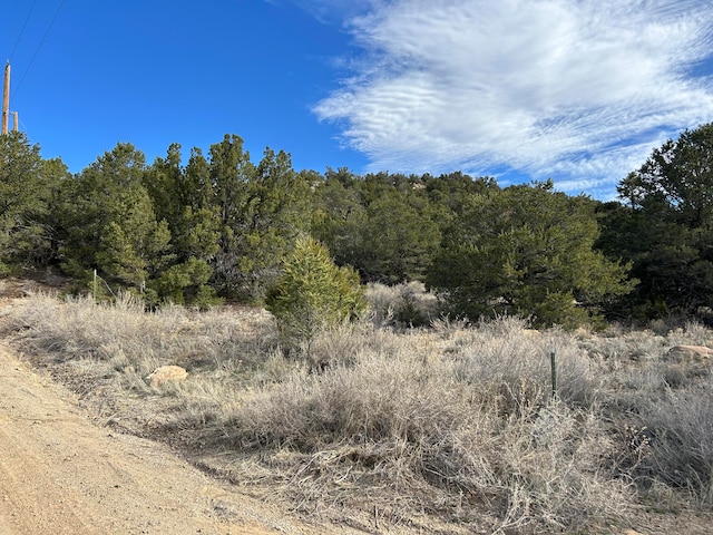 Listing photo 2 for 45 Lost Valley Loop, Cedar Crest NM 87008