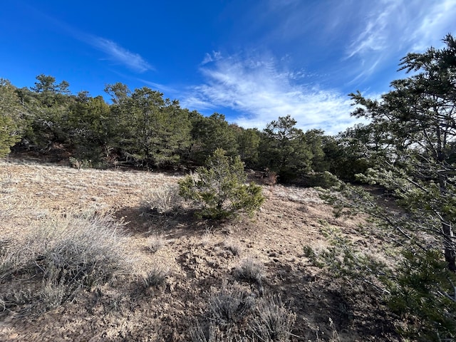 Listing photo 3 for 45 Lost Valley Loop, Cedar Crest NM 87008