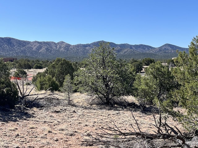 Listing photo 2 for LOT3 Turquoise Dr, Sandia Park NM 87047