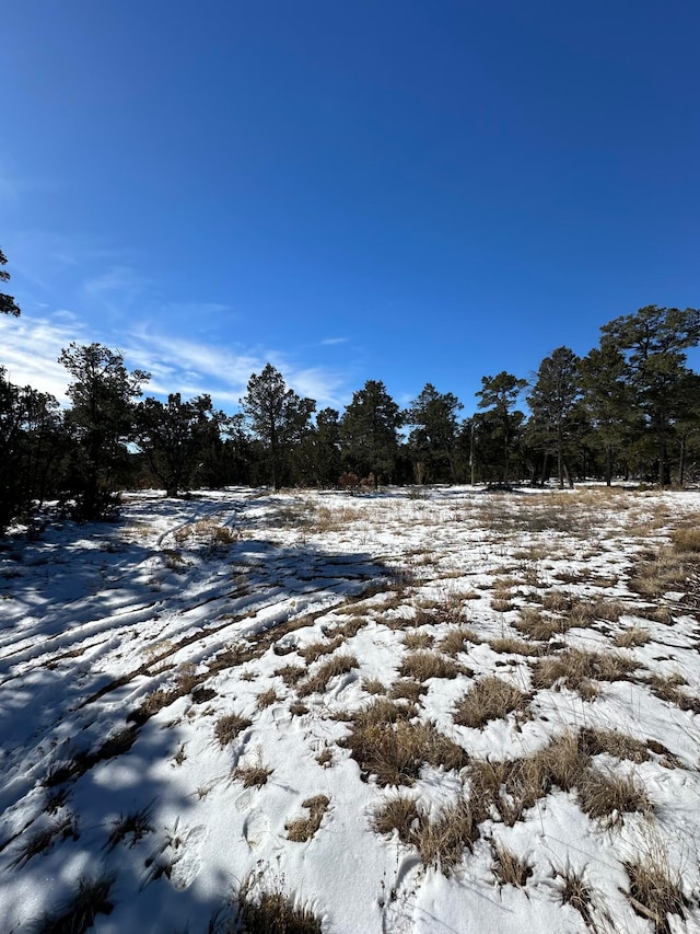 Address Not Disclosed, Edgewood NM, 87015 land for sale