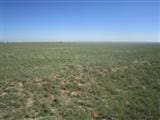 Palomino Dr, Moriarty NM, 87035 land for sale