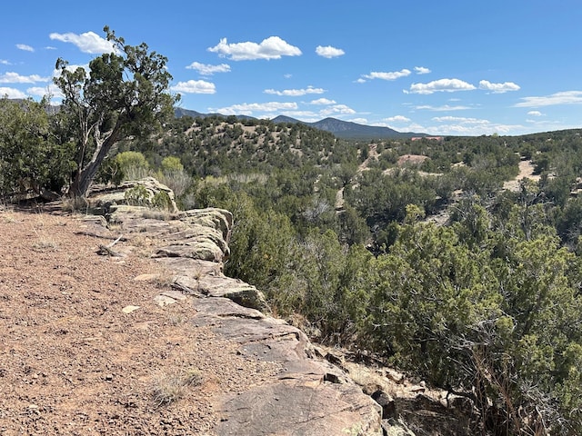 Listing photo 2 for 64 Gold Mine Trl, Sandia Park NM 87047