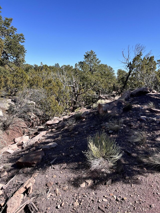 view of landscape