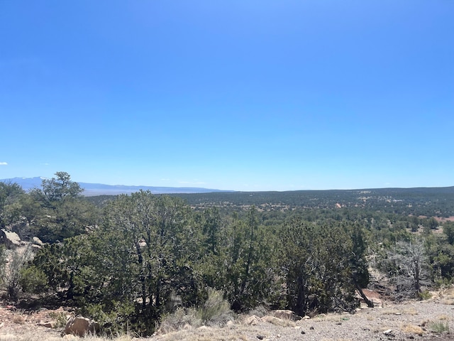 view of local wilderness